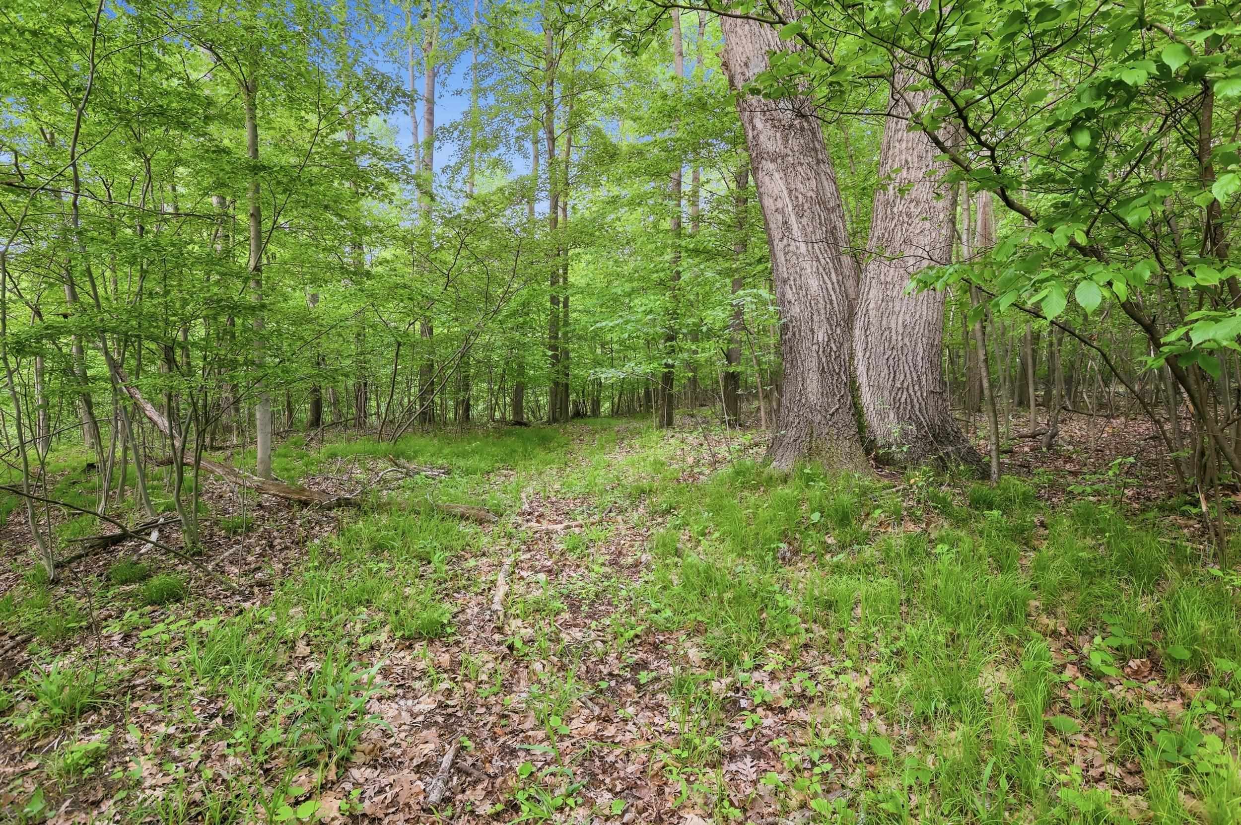 Vl South Chapin Road Elsie, MI 48831 - Photo 17 of 26