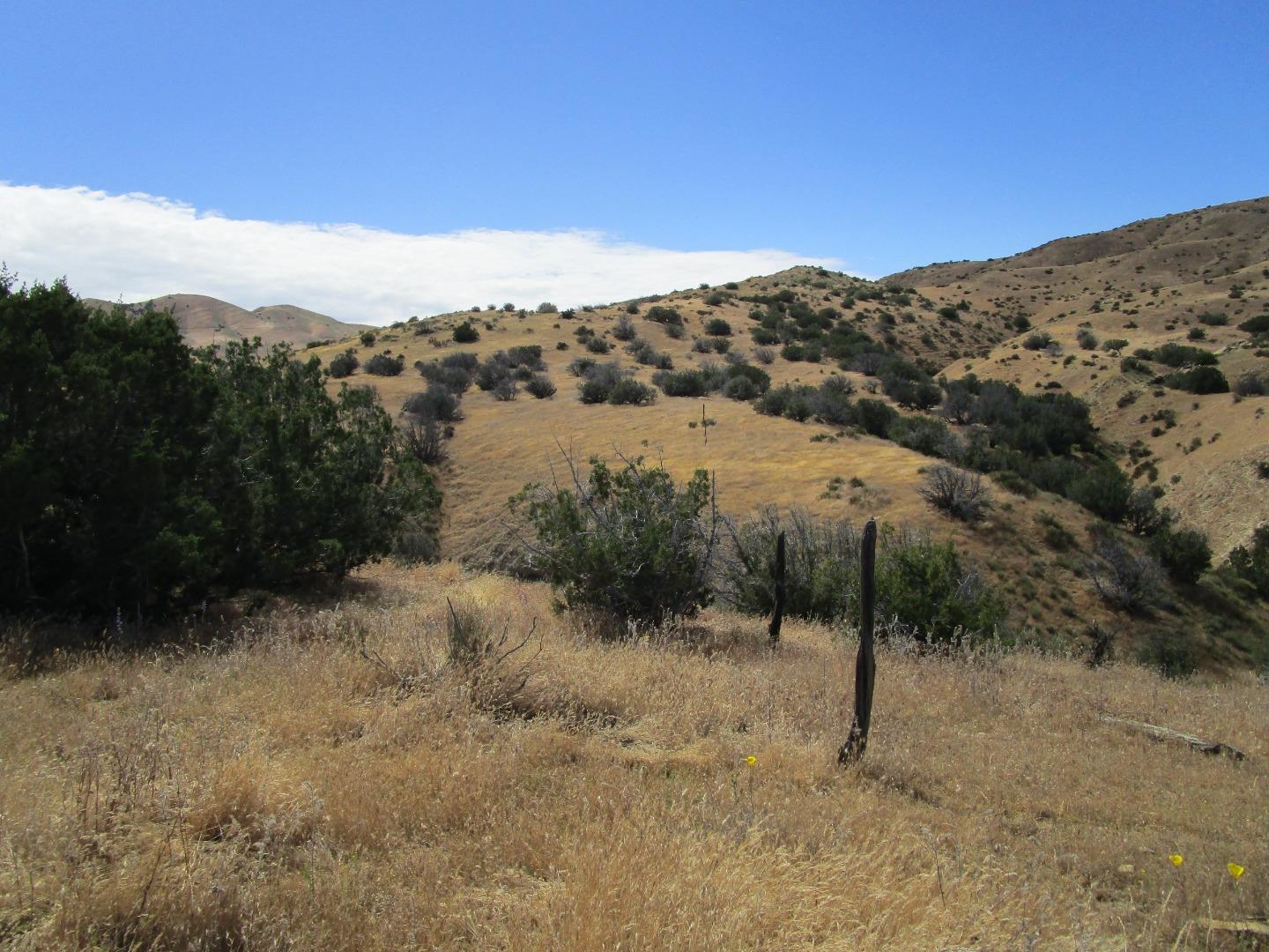 0 New Idria Road Paicines, CA 95043 - Photo 11 of 26
