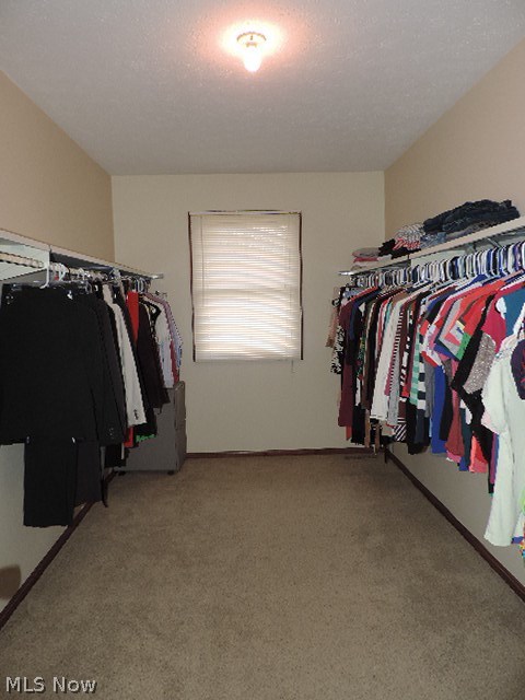 5175 Jaycox Road North Ridgeville, OH 44039 - Photo 17 of 25