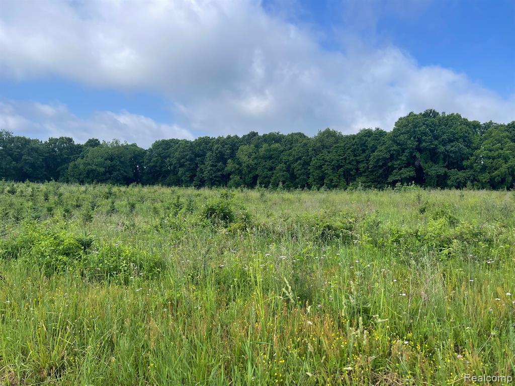 8 North Tipsico Lake Road Highland, MI 48357 - Photo 15 of 18