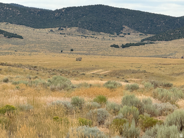 24 Old Dam Road, Unit 24 Levan, UT 84639 - Photo 9 of 10