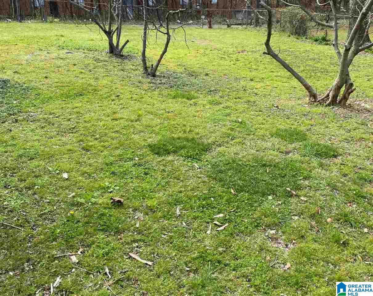 533 55th Street Fairfield, AL 35064 - Photo 14 of 15