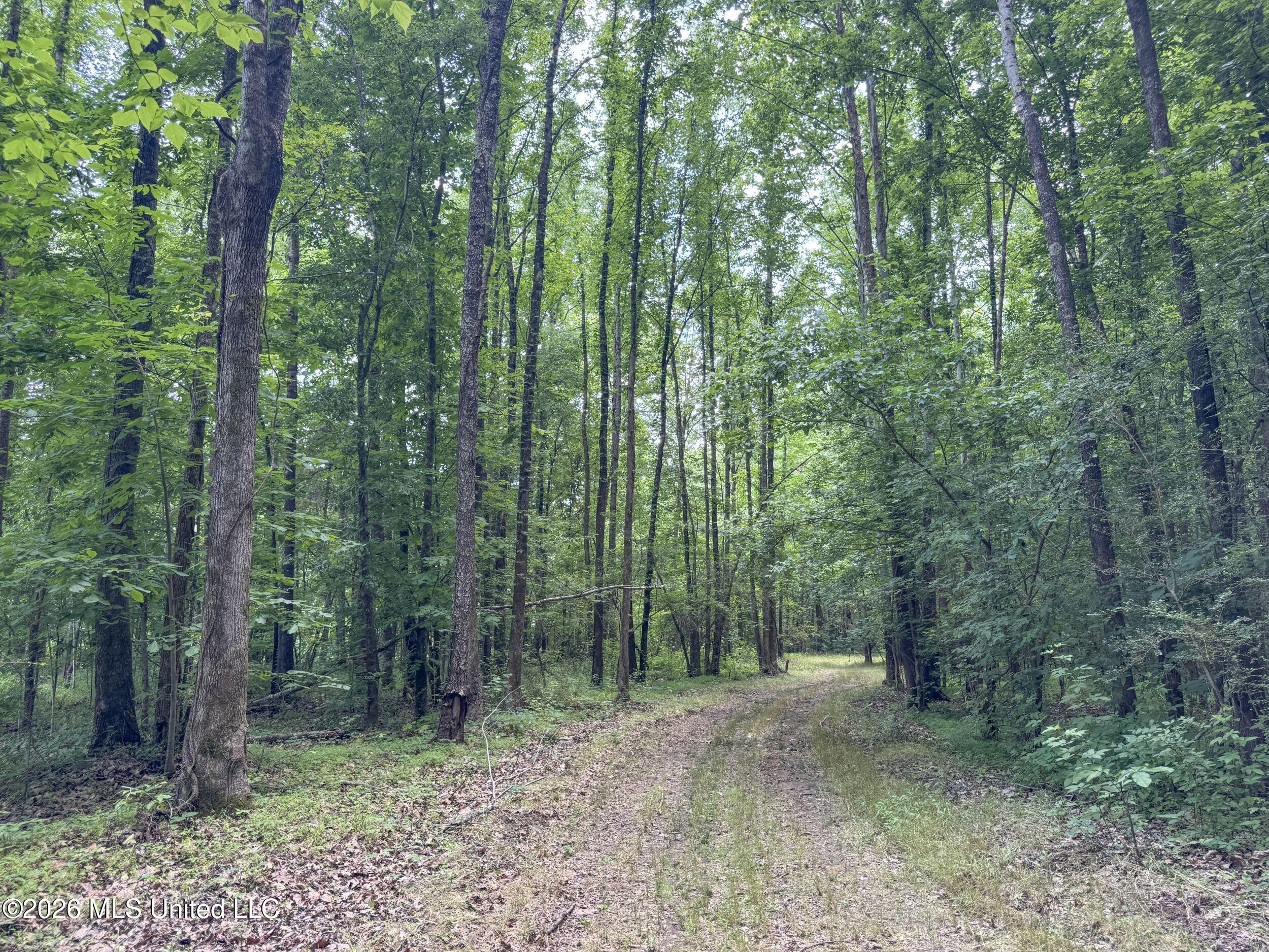 884 Avant Road Crenshaw, MS 38621 - Photo 130 of 154 6dbyicr77