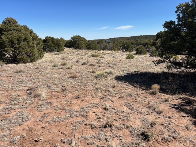 3 B Majors Ranch Road Walsenburg, CO 81089 - Photo 24 of 54
