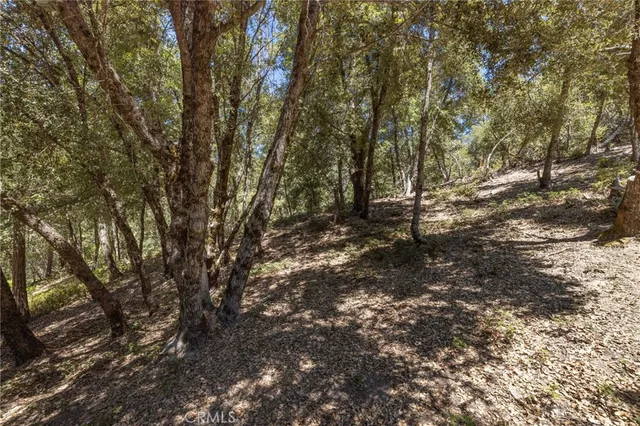 $151,700 | 8 North Cedar Vista Circle North, Bass Lake, CA 93604