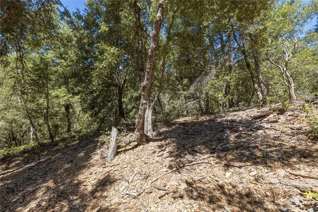 $151,700 | 8 North Cedar Vista Circle North, Bass Lake, CA 93604