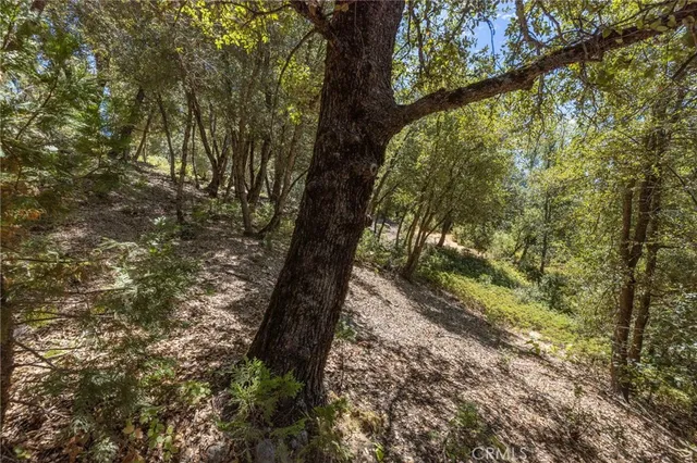 $151,700 | 8 North Cedar Vista Circle North, Bass Lake, CA 93604