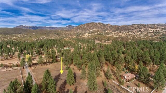 2 Butterfly Peak Road Mountain Center, CA 92561 - Photo 2 of 24 Drone