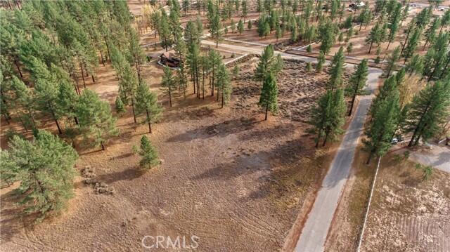 2 Butterfly Peak Road Mountain Center, CA 92561 - Photo 24 of 24 Drone 1