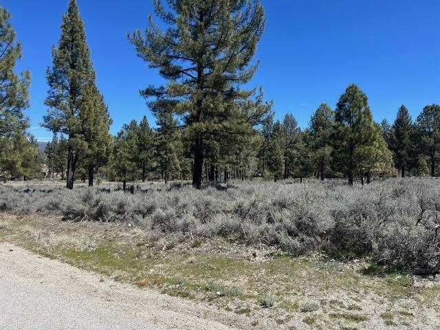 2 Butterfly Peak Road Mountain Center, CA 92561 - Photo 3 of 24 IMG_5527