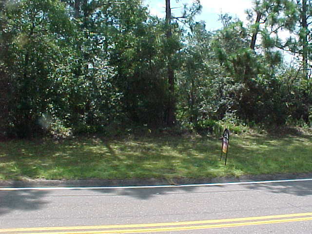 Lot 65 Live Oak Church Road Crestview, FL 32539 - Photo 1 of 1 Primary Photo