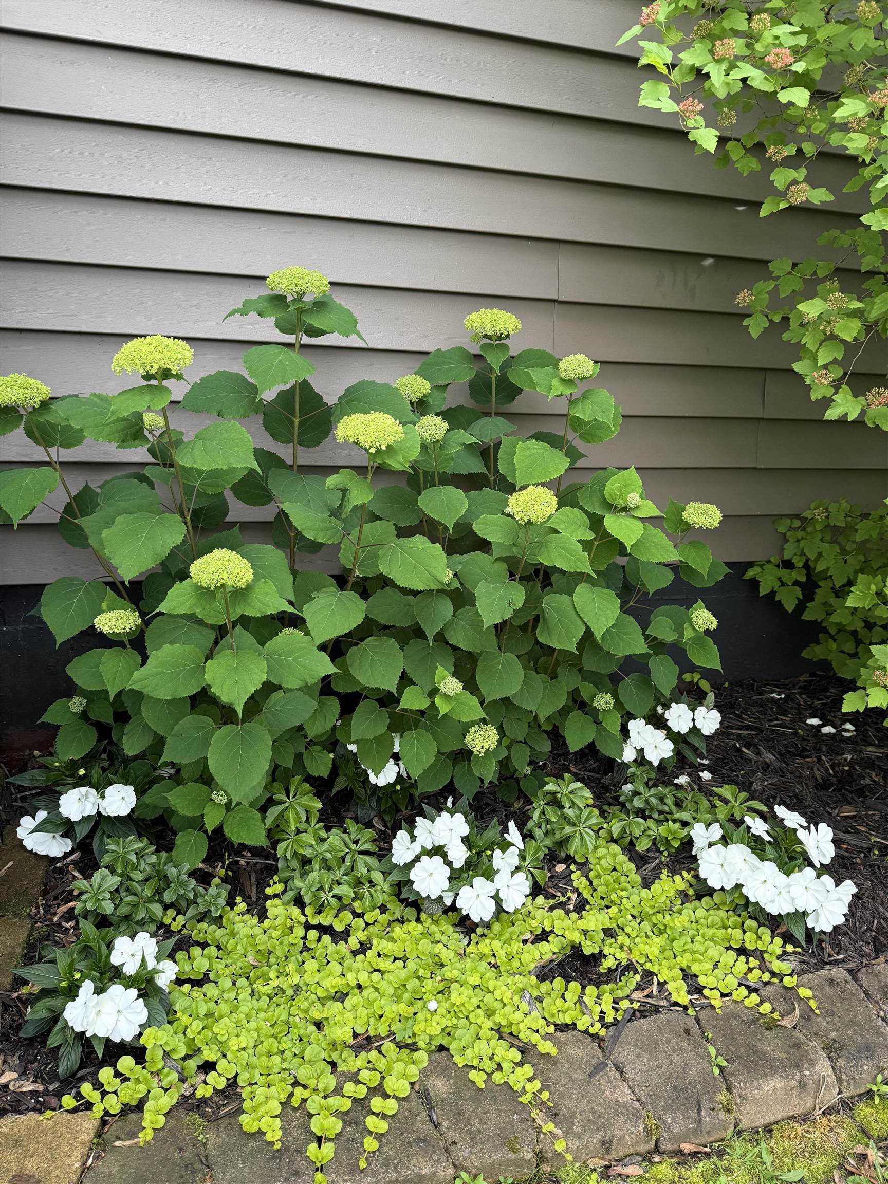 2814 East 4th Street Superior, WI 54880 - Photo 28 of 35