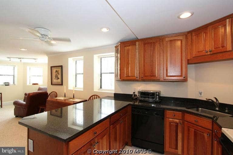 520 E Street Northeast, Unit 11 Washington, DC 20002 - Photo 8 of 14 Kitchen