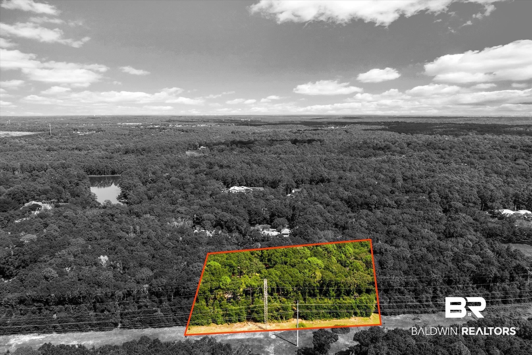 3600 Russells Lane Mobile, AL 36619 - Photo 37 of 43 Birds eye view of property