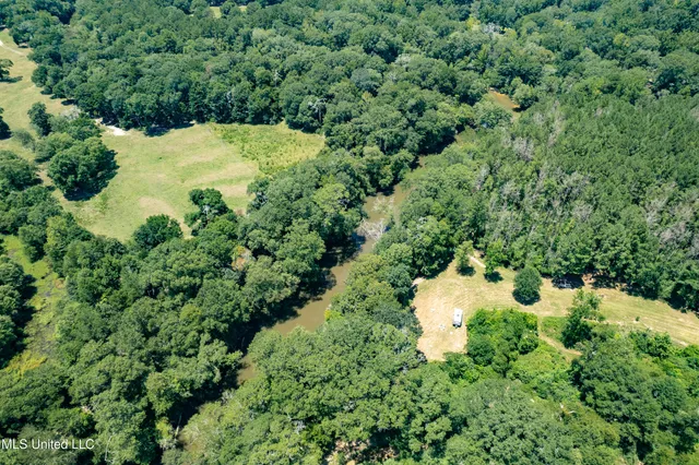 $299,000 | 557 Old Highway 49, Seminary, MS 39479