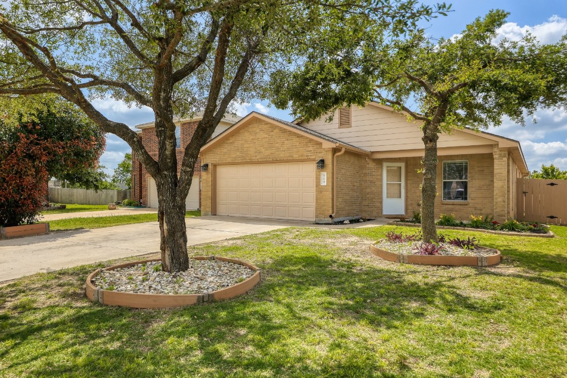 a house with tree in front of it