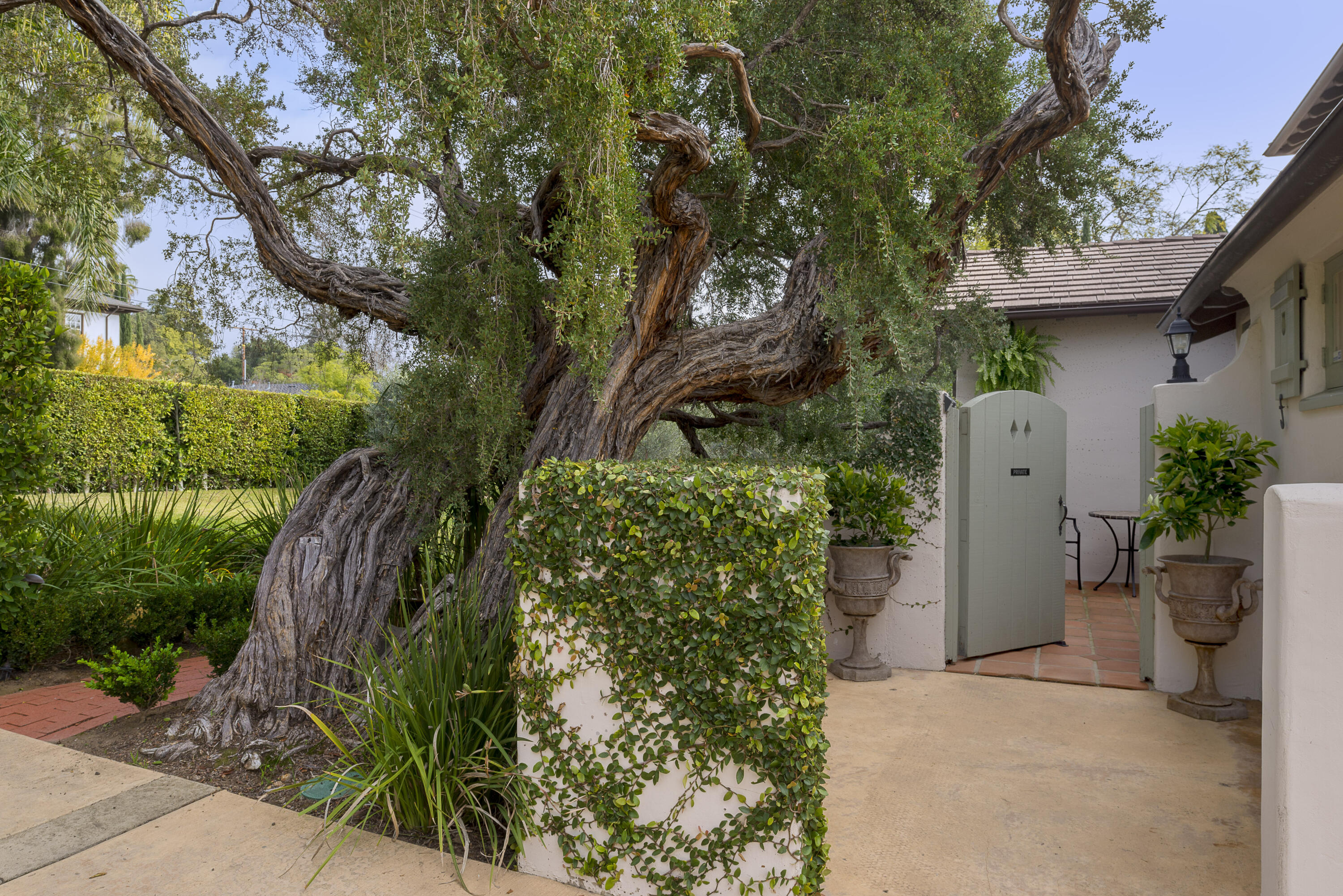 2311 Santa Barbara Street Santa Barbara, CA 93105 - Photo 14 of 20 a view of a garden with potted plants