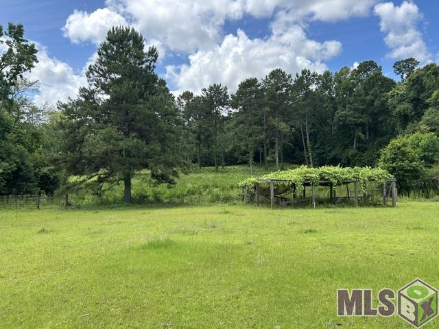 74209 Wyndotte Road Kentwood, LA 70444 - Photo 5 of 31