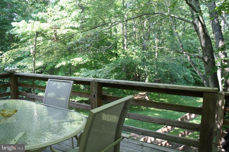 9309 Janphil Lane Springfield, VA 22153 - Photo 24 of 24 Deck - View from