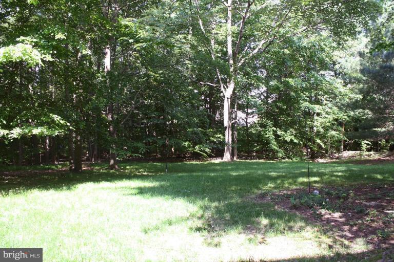 9309 Janphil Lane Springfield, VA 22153 - Photo 8 of 24 Back yard