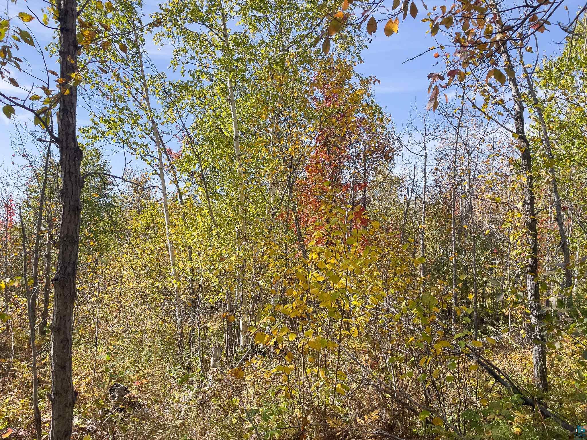 52-xx Ramsdell Heights Silver Bay, MN 55614 - Photo 17 of 26 Gallery Image 17