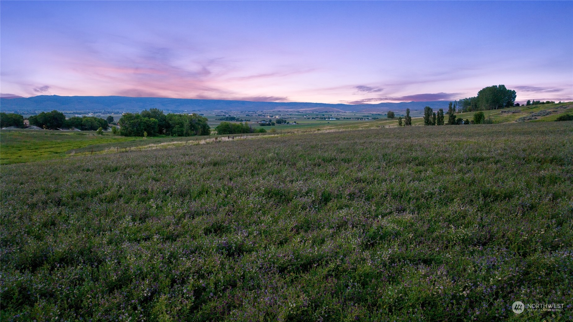 6750 Denmark Road Ellensburg, WA 98926 - Photo 6 of 40 Gallery Image 6