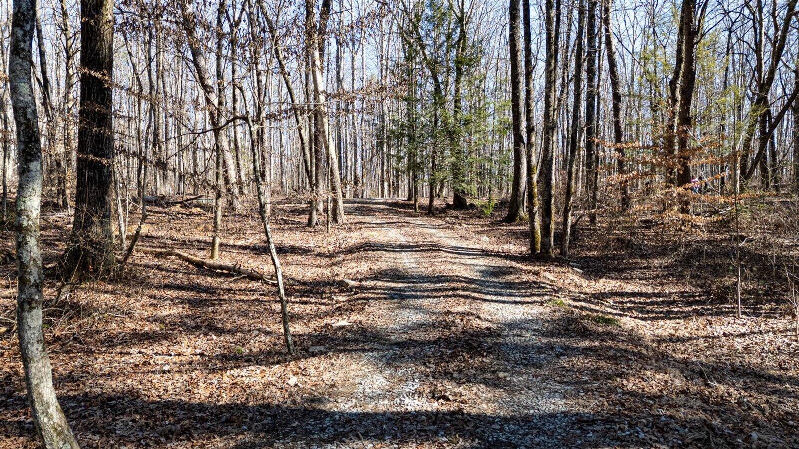 805 Dukes Road Signal Mountain, TN 37377 - Photo 13 of 33 Gallery Image 13