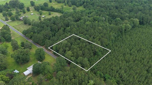 Tbd Loftin Road Coushatta, LA 71019 - Photo 9 of 15 Gallery Image 9