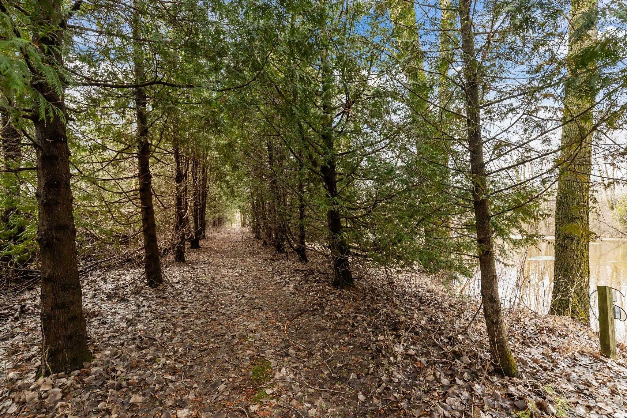 N3573 County Rd A Black Creek, WI 54106 - Photo 46 of 68