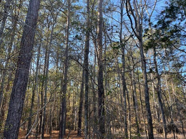 3015 Timber Woods Drive Appling, GA 30802 - Photo 2 of 7 IMG_3241