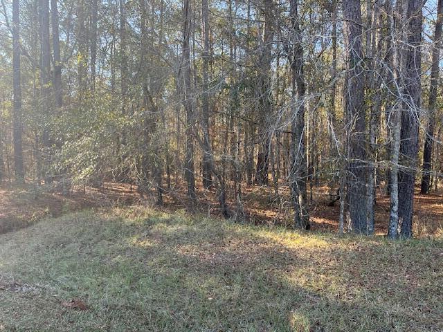 3015 Timber Woods Drive Appling, GA 30802 - Photo 3 of 7 IMG_3239