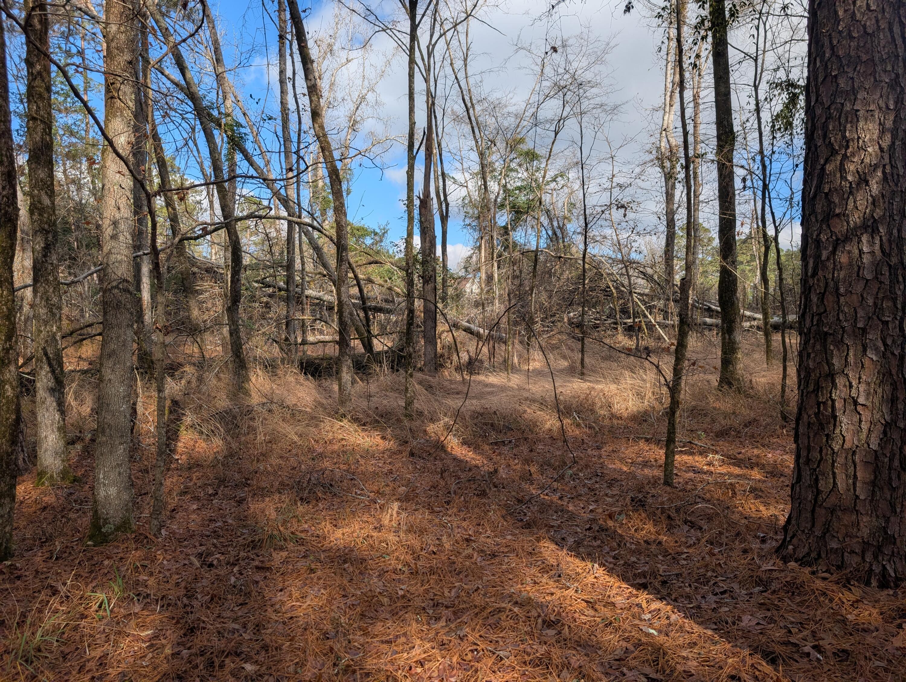 3015 Timber Woods Drive Appling, GA 30802 - Photo 4 of 7 PXL_20251209_172018302.MP