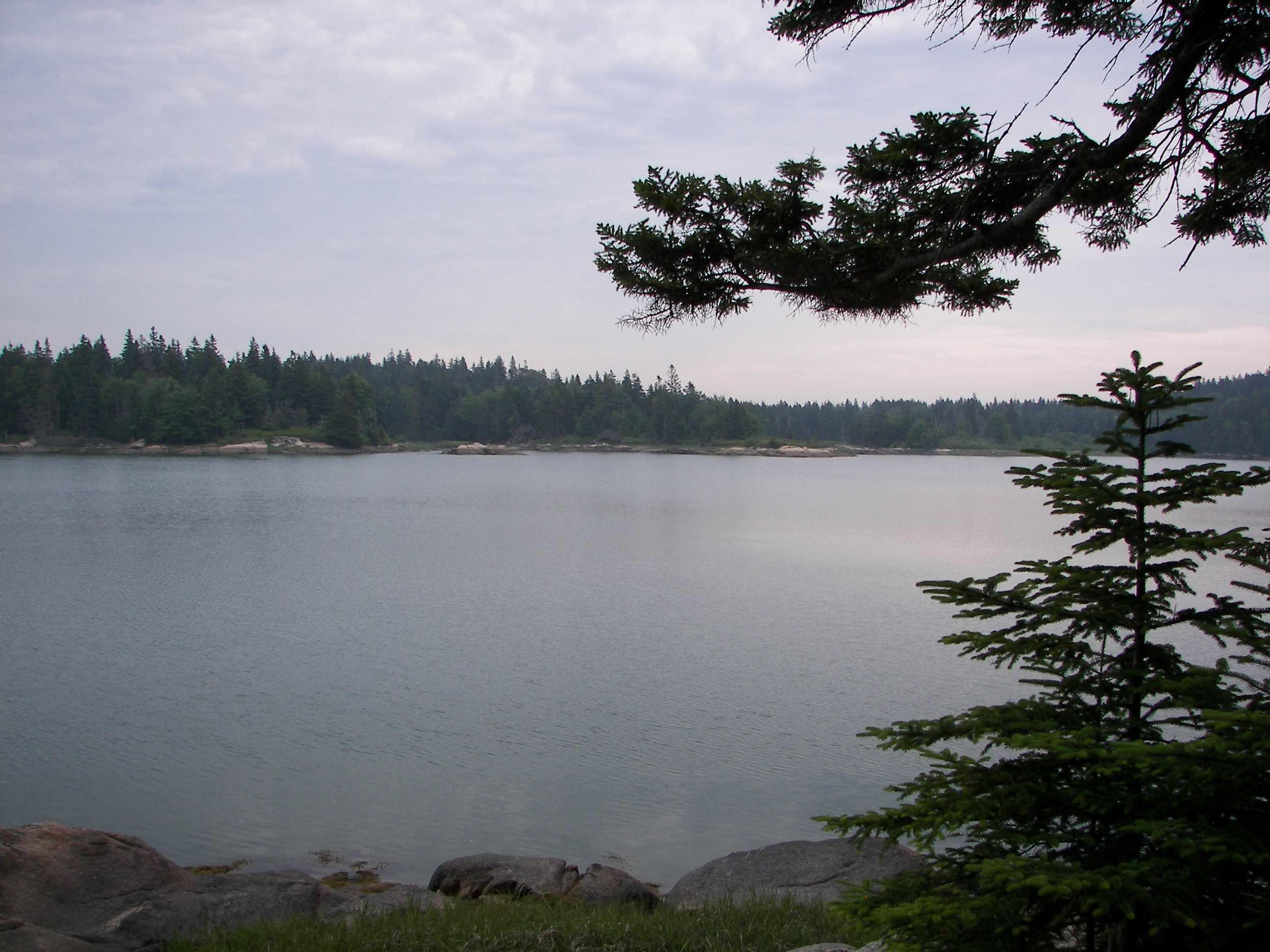 901 North Haven Road Vinalhaven, ME 04863 - Photo 4 of 6 VINAL COVE-4