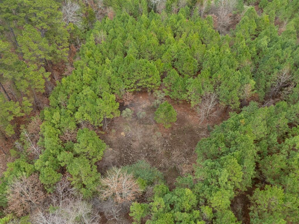 6052 Blocker Road Marshall, TX 75672 - Photo 10 of 22