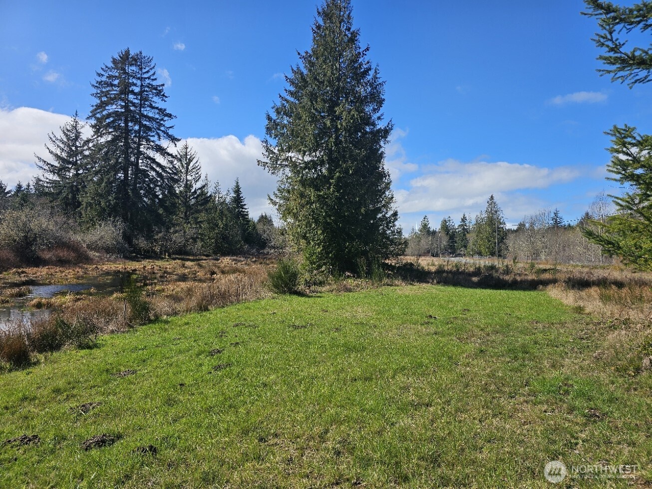 9999 Crescent Beach Road Port Angeles, WA 98363 - Photo 7 of 28 Gallery Image 7