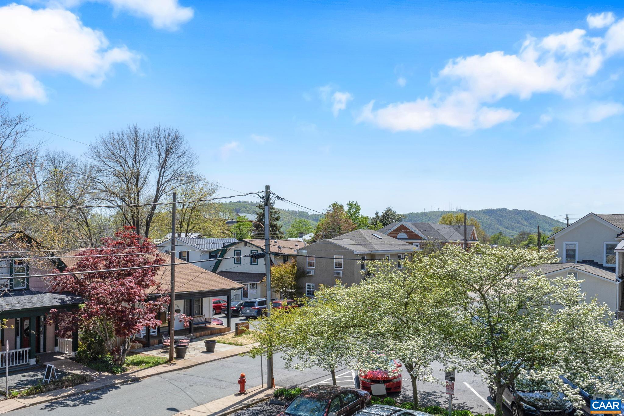 820 East High Street, Unit 8 Charlottesville, VA 22902 - Photo 16 of 16