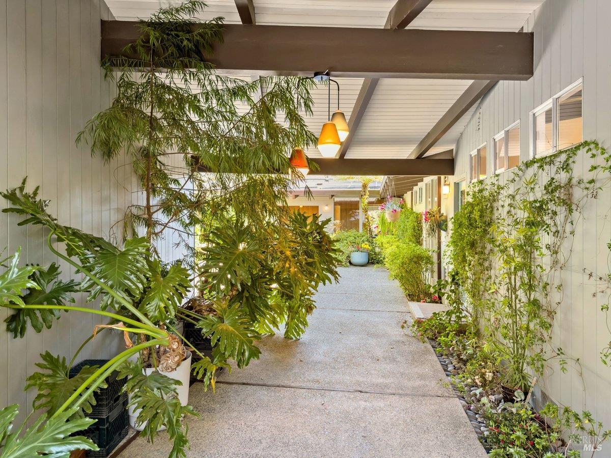 5 Mather Road San Anselmo, CA 94960 - Photo 45 of 58 a view of a bunch of flowers in a yard