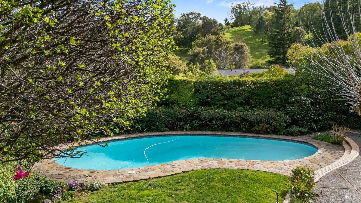 5 Mather Road San Anselmo, CA 94960 - Photo 8 of 58 a view of a swimming pool with a yard