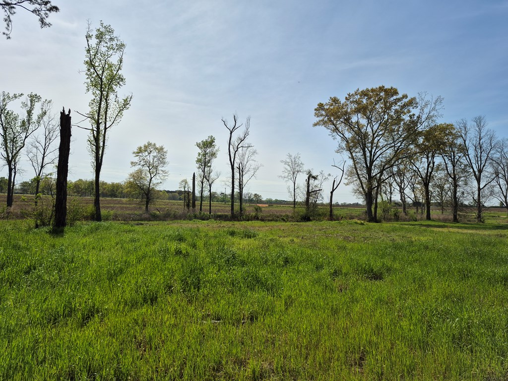 2154 J East Saunders Road Dothan, AL 36301 - Photo 11 of 15