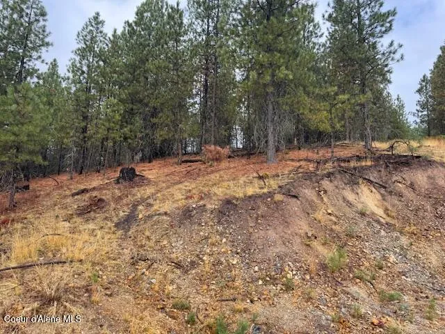 $135,000 | Nka Nka Parcel A, Pinehurst, ID 83850