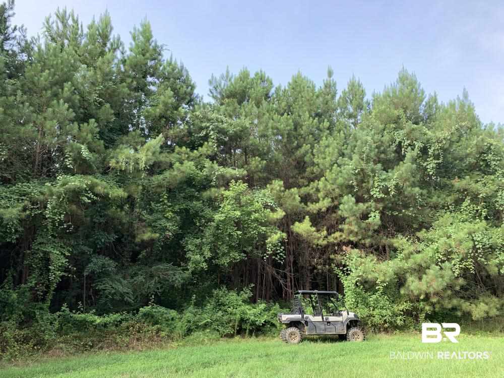 0 Country Road Uriah, AL 36480 - Photo 28 of 49