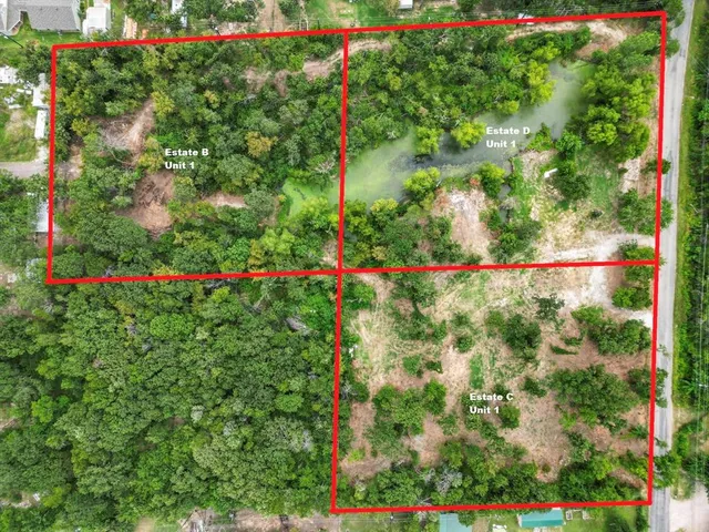 a view of a flower garden