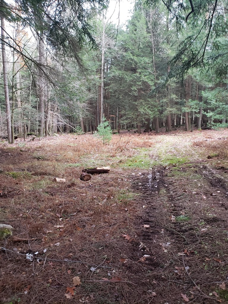 3416 Jacks Hollow Road Vowinckel, PA 16260 - Photo 2 of 9