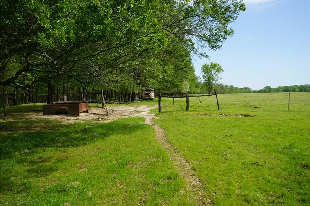 a view of park with bench and trees