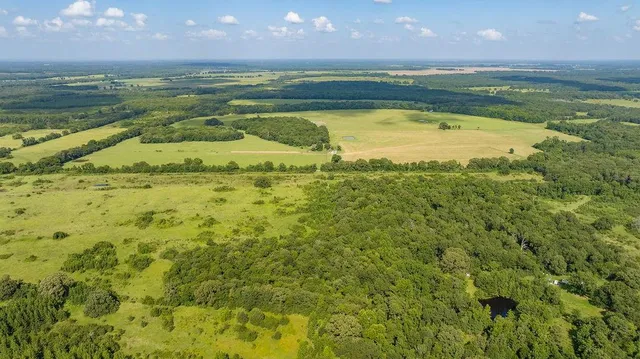 a view of an ocean beach