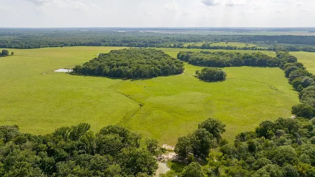 a view of a lake with a mountain in the background