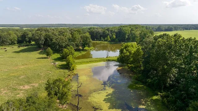 a view of a lake with a mountain in the background