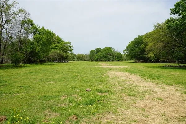 a view of a field with a trees in the background