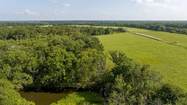 a view of a lake with a mountain in the background