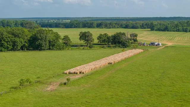 a view of a lake with a city view
